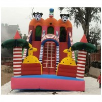 Cartoon Bouncy Inflatable Slider