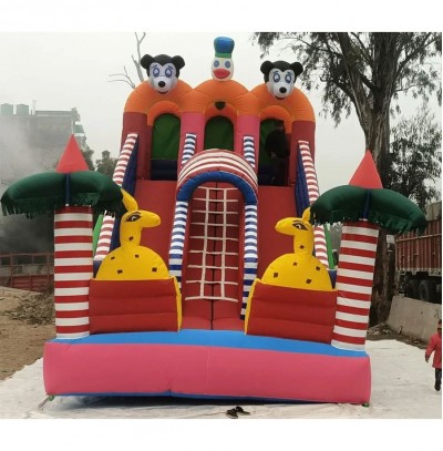 Cartoon Bouncy Inflatable Slider